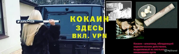 прущие грибы Нефтегорск