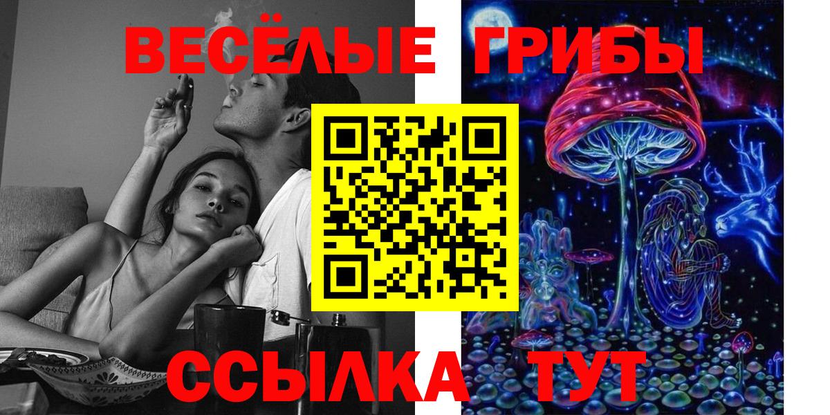 Тула  Псилоцибиновые грибы Psilocybine cubensis  закладка  Вход с VPN 