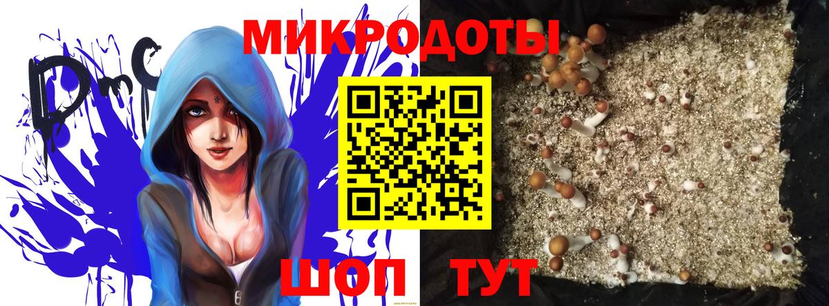 Галлюциногенные грибы Psilocybe Тула